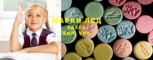 трава Инта
