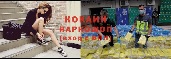 трава Инта