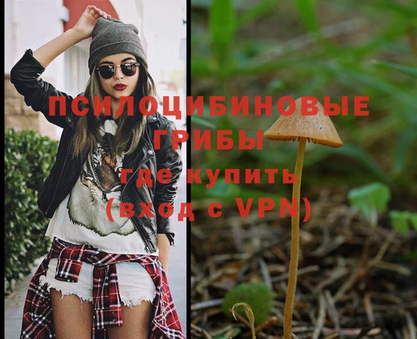 МДПВ Иннополис